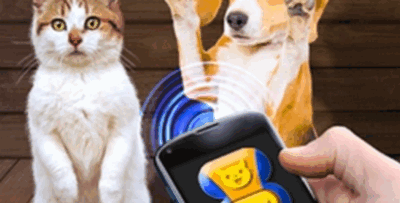 人猫交流软件
