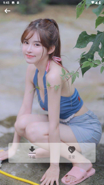 雨林壁纸