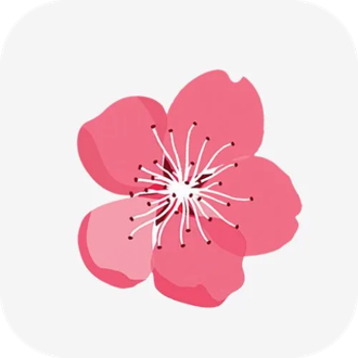 桃花里App最新版