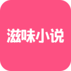 滋味小说去广告版