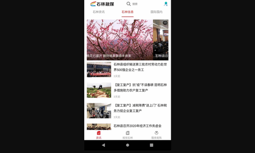 石林融媒官方版