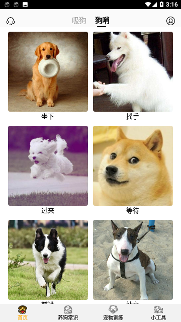 狗语翻译器免费版