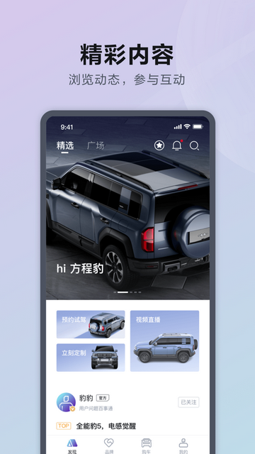 方程豹