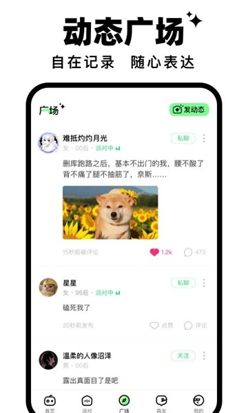 森林派对最新版