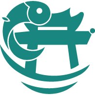 锦小鲤会计课堂手机版