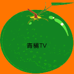 青橘影视电视盒子版