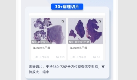 芝士医生最新版