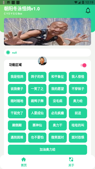 冬泳怪鸽盒