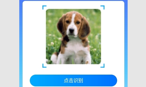 神奇扫描助手最新版