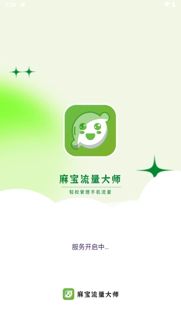 麻宝流量大师