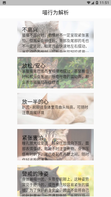 喵星百科