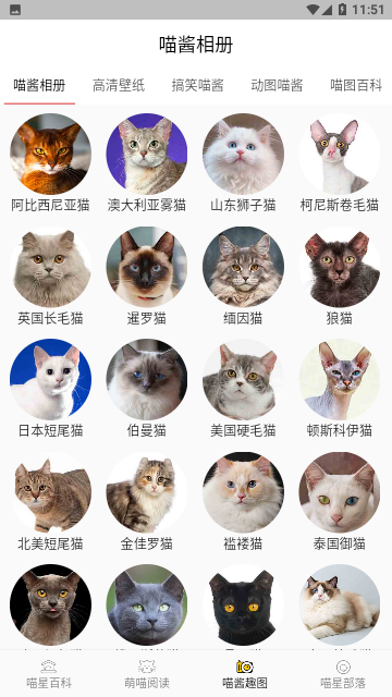 喵星百科官方版