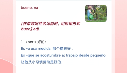西语助手解锁终身会员版