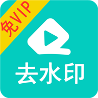视频去水印破解版