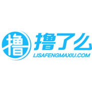 撸了么小说永久VIP版