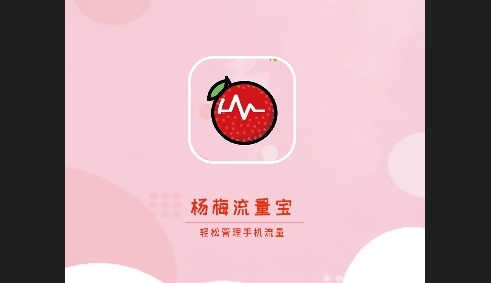 杨梅流量宝最新版
