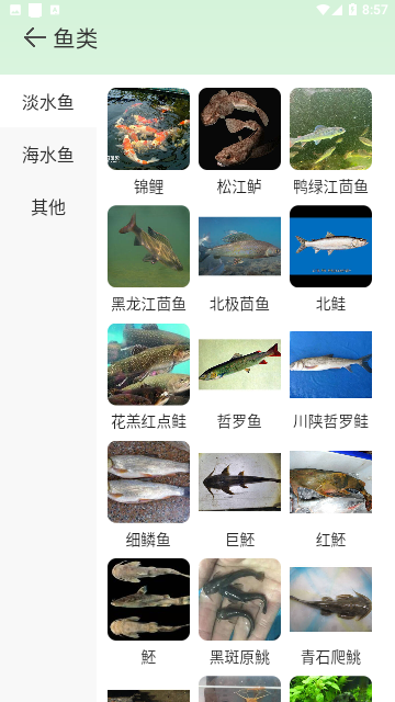 Screenshot_20231113-085734