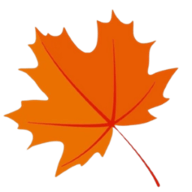 枫奕TVPro最新版