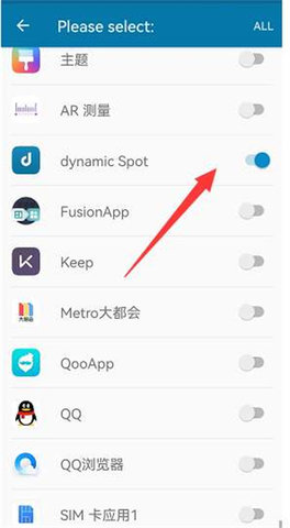 dynamicSpot灵动岛中文版