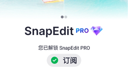 SnapEdit会员版