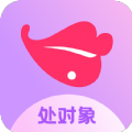 处对象中年版手机版