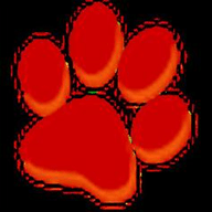 大猫电影网2024最新版