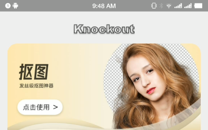 Pro knockout免费版