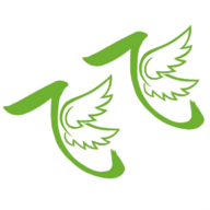 飞飞影视2024最新版