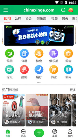 中国信鸽信息网客户端