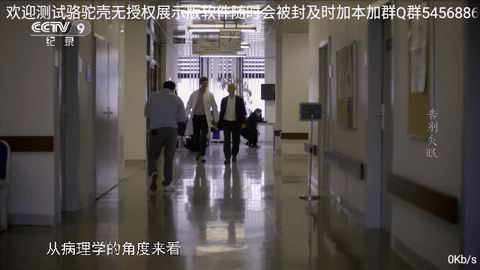 骆驼直播
