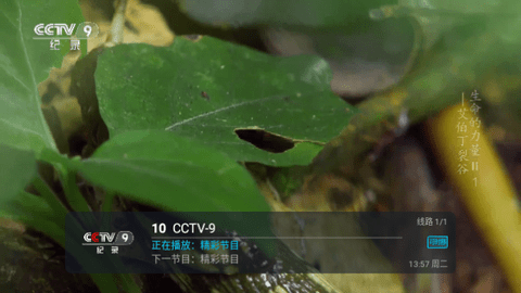 瑶瑶TV电视盒子版
