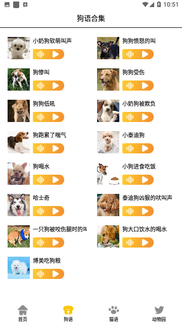 Screenshot_20231207-105139