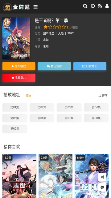 金阿尼动画