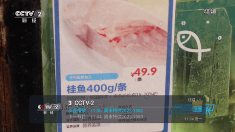 西红柿直播