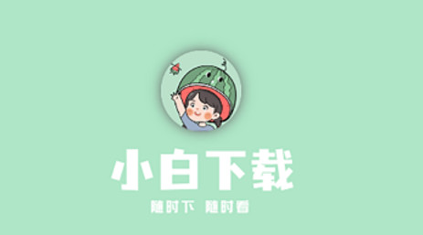 小白下载官方版