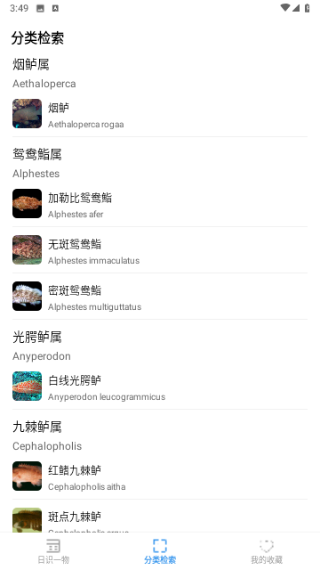 奇妙海洋官方版
