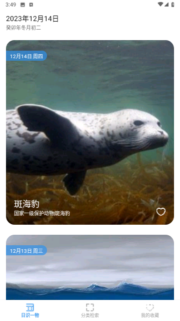 奇妙海洋