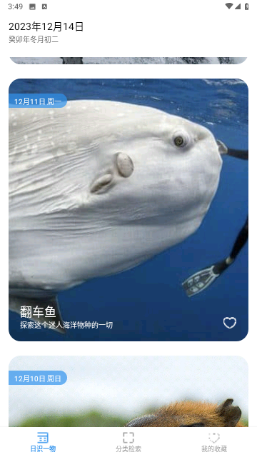 奇妙海洋官方版