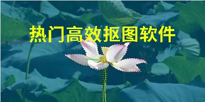 热门高效抠图软件