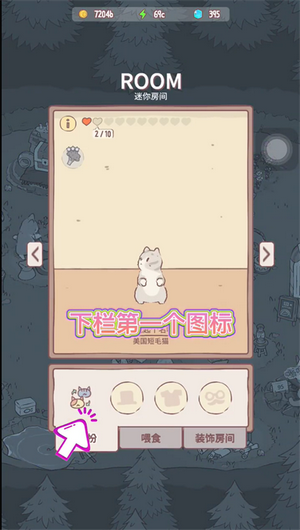 猫咪和汤国际版