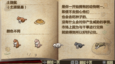 欢迎来到绵羊村