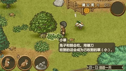 欢迎来到绵羊村