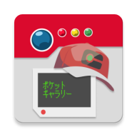 Pocket Gallery免费版