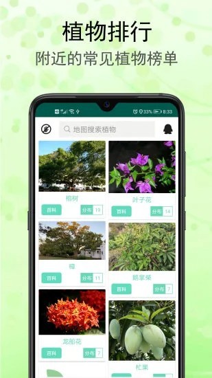 一键拍照识花草免费版