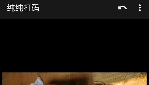 纯纯打码专业版