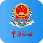 广东电子税务局手机版