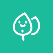 一叶单词最新版