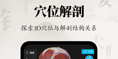 针灸大师免费版
