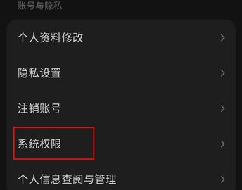汽水音乐车机版app