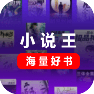 小说王免费版